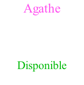 Agathe Femelle  non standard  (PATTES LONGUES) Née le 18 Avril Disponible 1200€