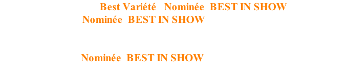 Bravo à Hamamelis   Best Variété,  Nominée  BEST IN SHOW  le samedi et   Nominée  BEST IN SHOW  le dimanche.  Bravo également à Hot Chocolate qui, du haut de ses 3 mois fut    Nominée  BEST IN SHOW  le dimanche.