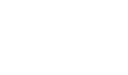 Male standard  - Fawn -