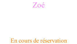 Zoé Femelle  Née le 24 février 2024 (7 mois) Standard - Pattes courtes Fawn point En cours de réservation