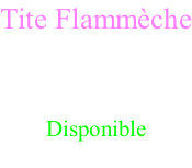 Tite Flammèche Femelle stérilisée Brown tortie tabby 1 an et demi  Disponible 600€